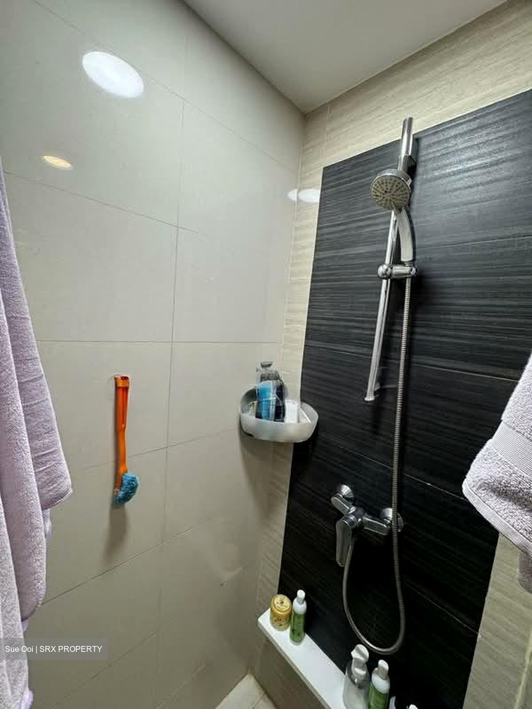 Blossom Residences (D23), Condominium #535756241